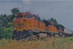 BNSF 5006 West